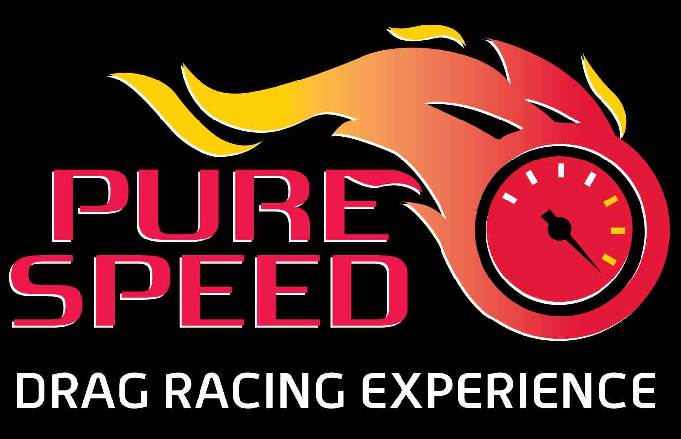 Pure Speed logo
